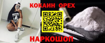 шишки Можга