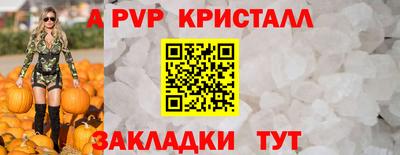 шишки Можга