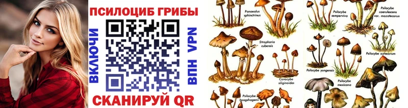 Галлюциногенные грибы Cubensis наркотики Фрязино