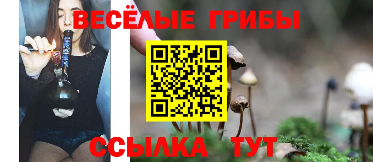 Псилоцибиновые грибы Psilocybine cubensis  Вход с VPN  Фрязино  Галлюциногенные грибы GOLDEN TEACHER 